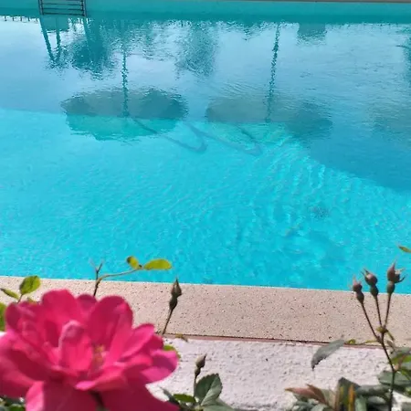 Hotel Mya Porto Cervo 3*