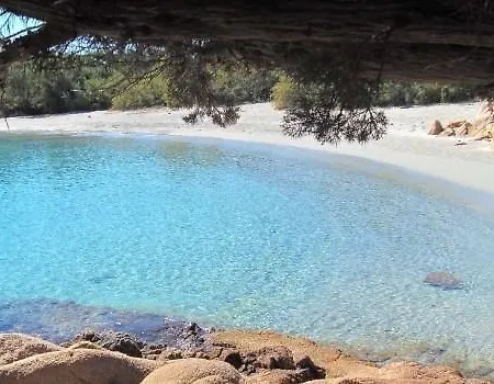 호텔 Hotel Mya Porto Cervo 포르투 세르보