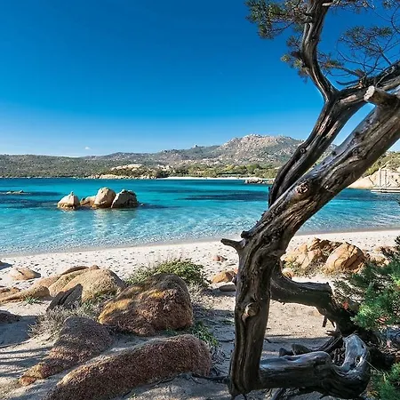 Hotel Mya Porto Cervo 호텔 포르투 세르보