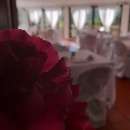 Hotel Mya Porto Cervo 호텔