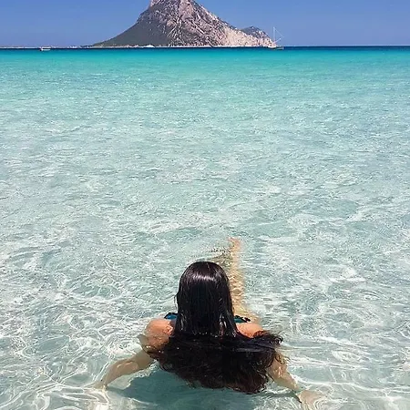 Hotel Mya Porto Cervo 호텔 3*